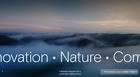 Corporate Website